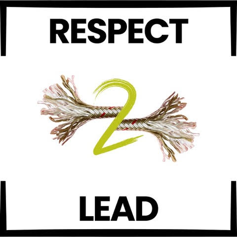 respect lead