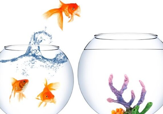 Don't get caught between fishbowls